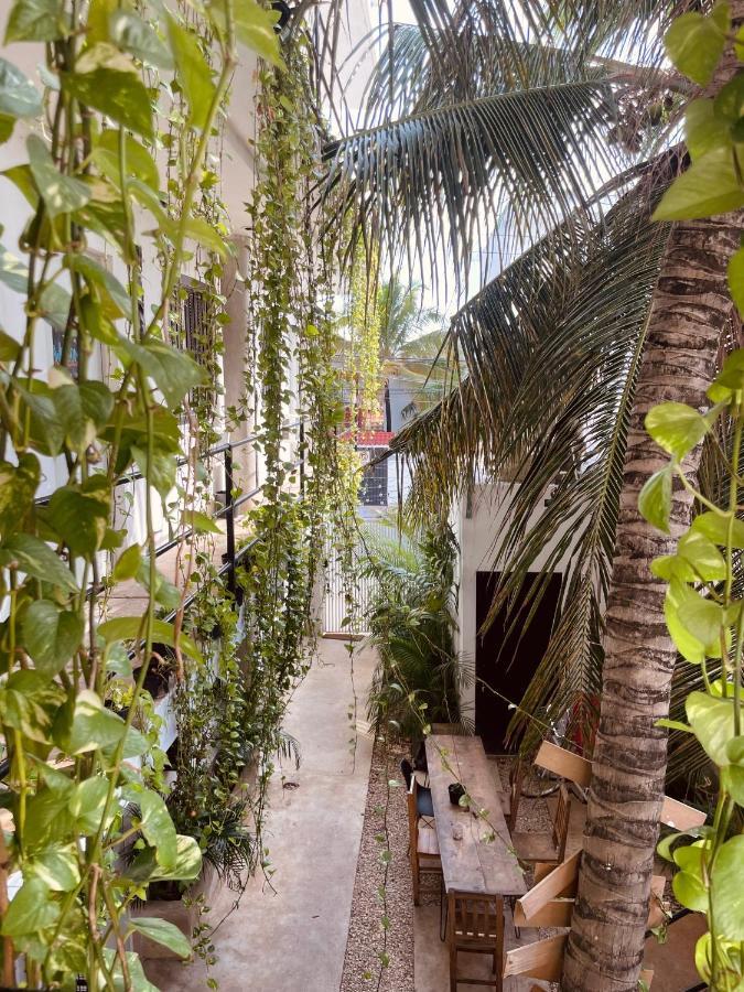 Готель Anana Coliving Плайя-дель-Кармен Екстер'єр фото