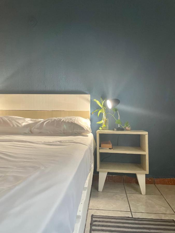 Готель Anana Coliving Плайя-дель-Кармен Екстер'єр фото