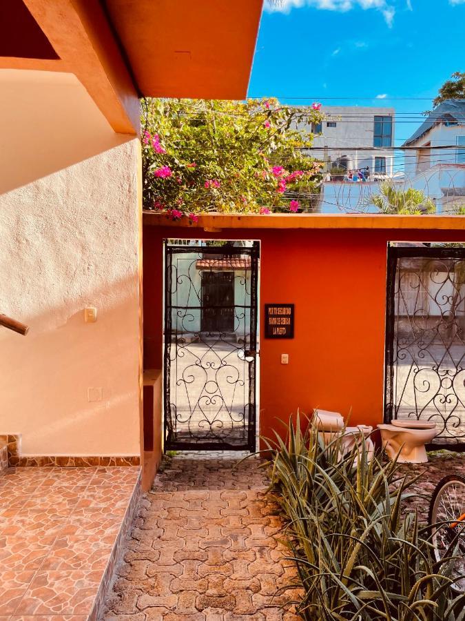 Готель Anana Coliving Плайя-дель-Кармен Екстер'єр фото