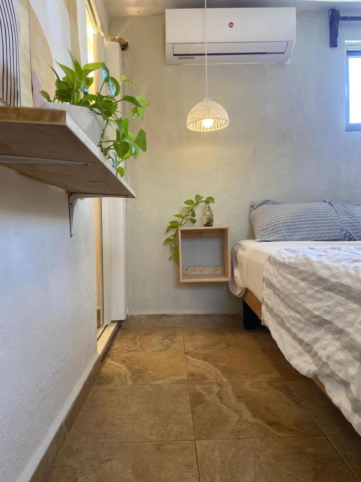 Готель Anana Coliving Плайя-дель-Кармен Екстер'єр фото