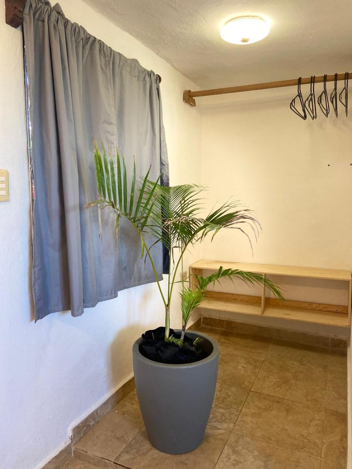 Готель Anana Coliving Плайя-дель-Кармен Екстер'єр фото