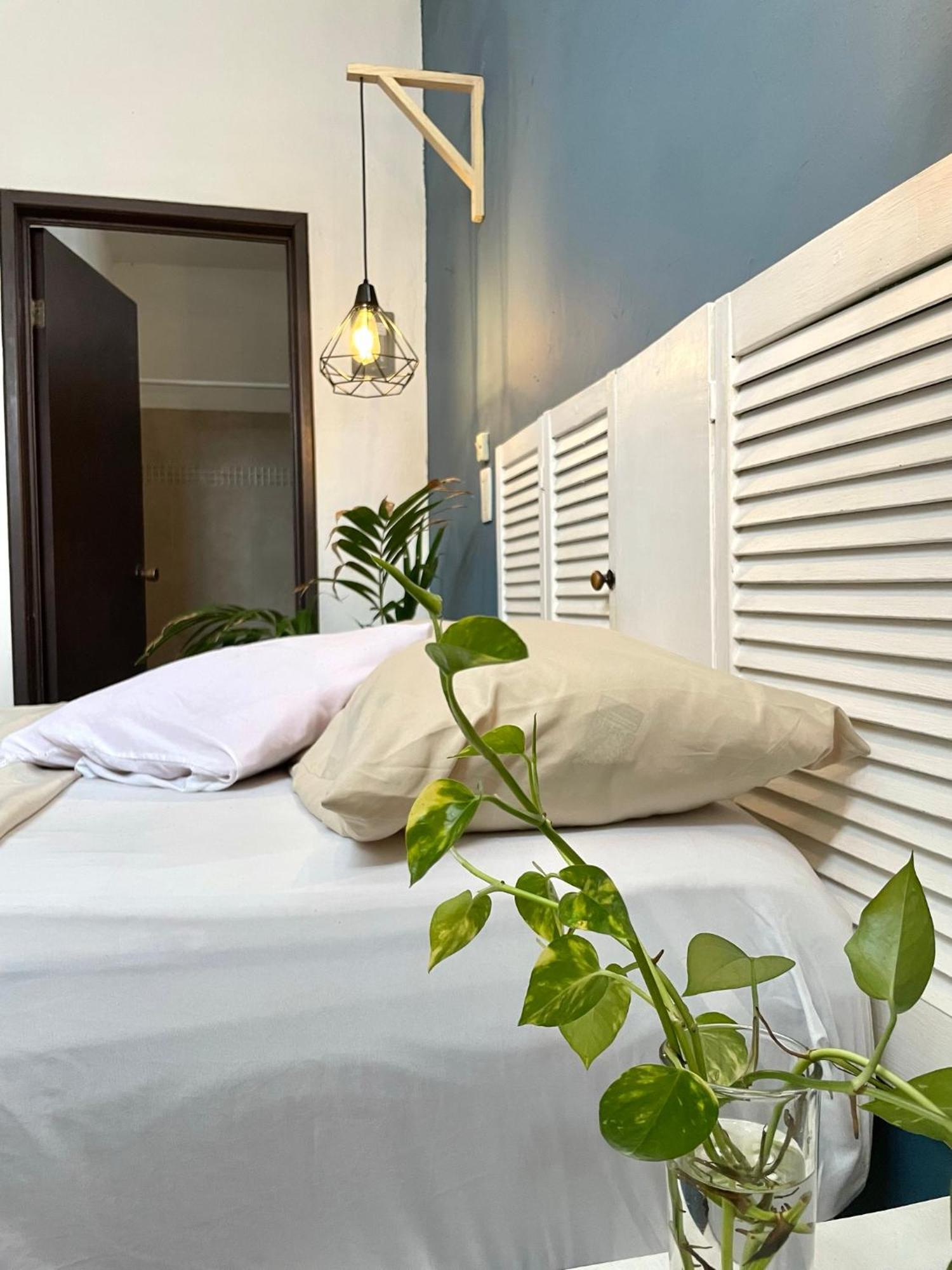 Готель Anana Coliving Плайя-дель-Кармен Екстер'єр фото